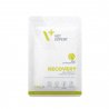 VETEXPERT RECOVERY CAT 100 g