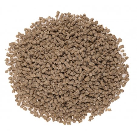 PELLEGRO CAT - Naturalny i Ekologiczny Żwirek dla Kota 6 L-6815