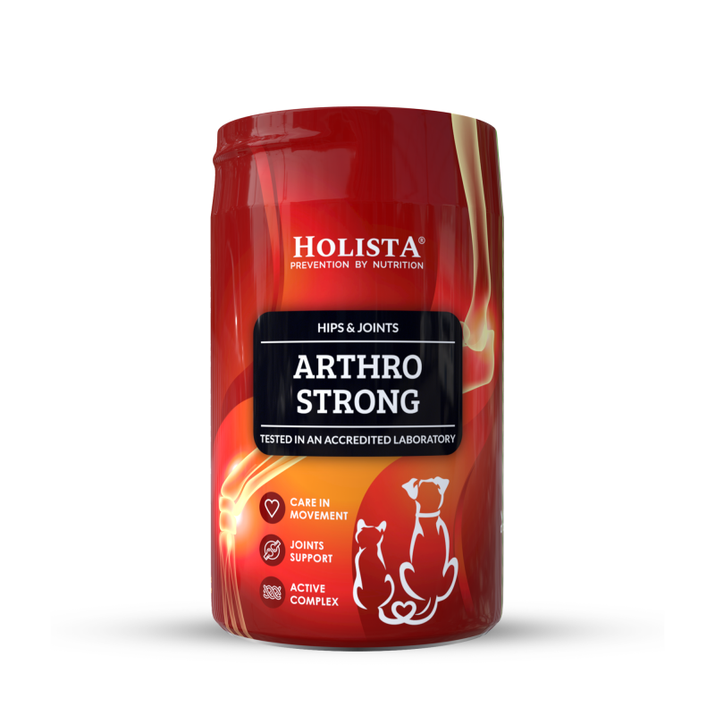 HolistaPets Arthro Strong 200g – kompleksowe wsparcie stawów dla dorosłych psów