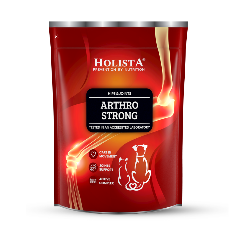 HolistaPets Arthro Strong 600g – kompleksowe wsparcie stawów dla dorosłych psów