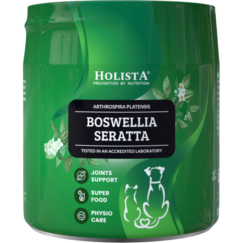 HolistaPets Boswellia Serrata 100g – naturalne wsparcie dla stawów Twojego pupila
