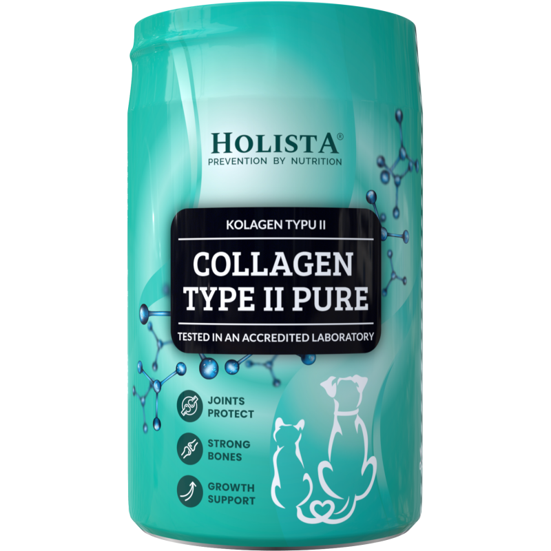 HOLISTA COLLAGEN TYPE II PURE 200G