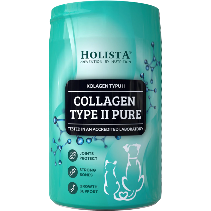 HOLISTA COLLAGEN TYPE II PURE 200G