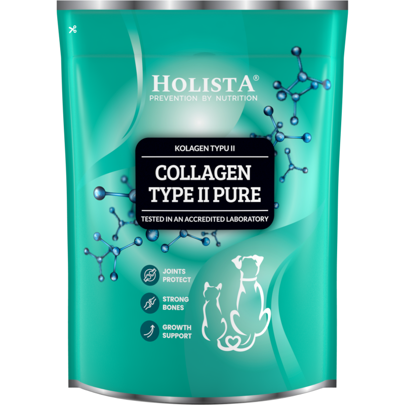 HOLISTA COLLAGEN TYPE II PURE 600G