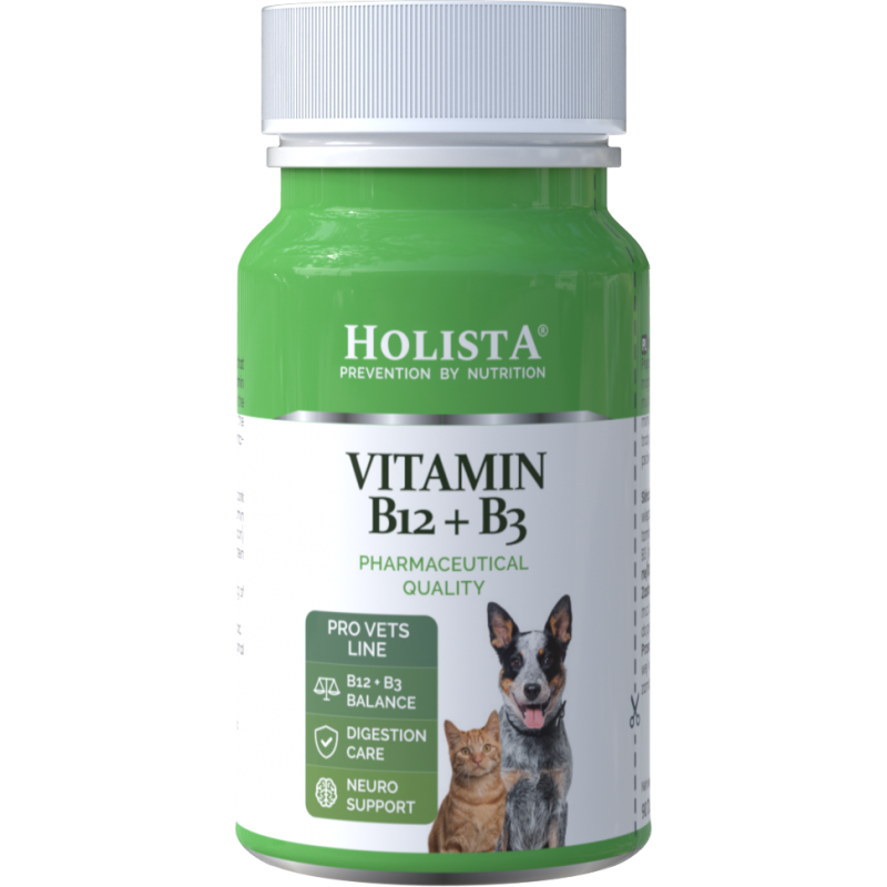 Holista Witamina B12 + B3 90 tab.