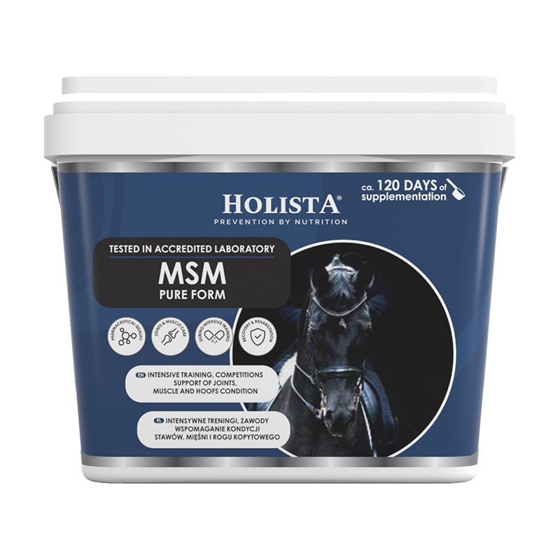 HolistaEquine MSM Pure Form 900G