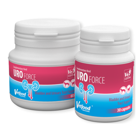 UROforce 30 kasp.