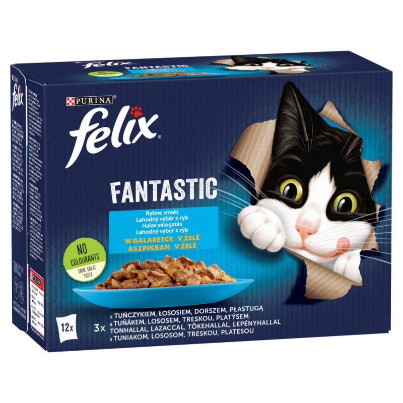 Felix Fantastic Karma Dla Kotów Rybne Smaki W Galaretce 12x85g Tuńczyk Łosoś Dorsz Gładzica