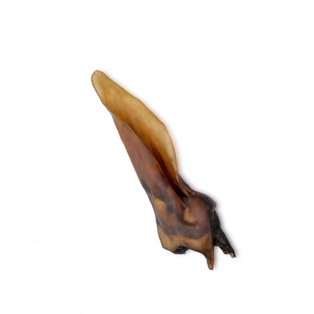 Ucho sarny 1 szt-7565