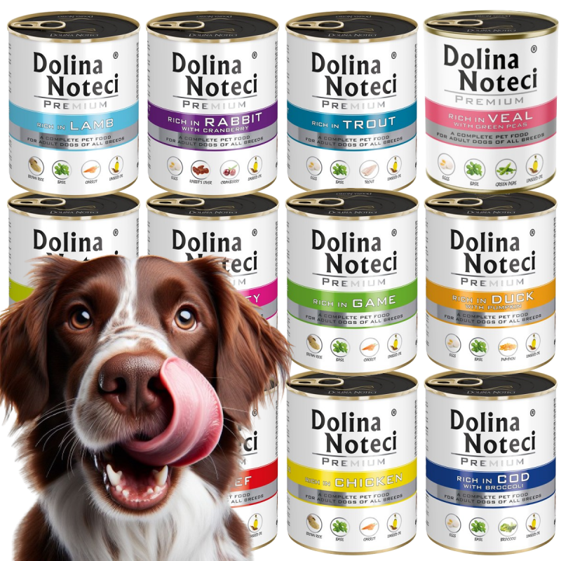 24 x DOLINA NOTECI PREMIUM 800 G KARMA MOKRA DLA PSA MIX 10 SMAKÓW