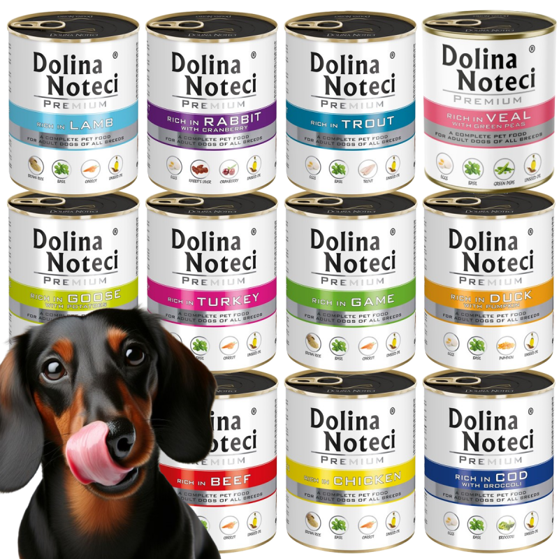 DOLINA NOTECI PREMIUM MIX SMAKÓW 10 x 800g