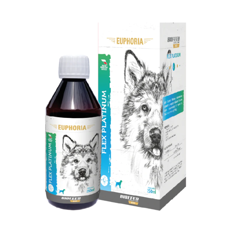 Euphoria FLEX PLATINUM - Preparat na Wzmocnienie Stawów i Kości Psa 250 ml