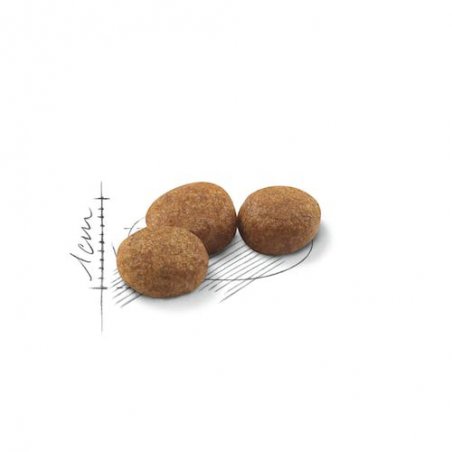 Royal Canin Cat Sterilised 10kg-8150