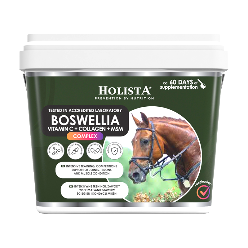 HOLISTA EQUINE BOSWELLIA SERATTA COMPLEX 1000G