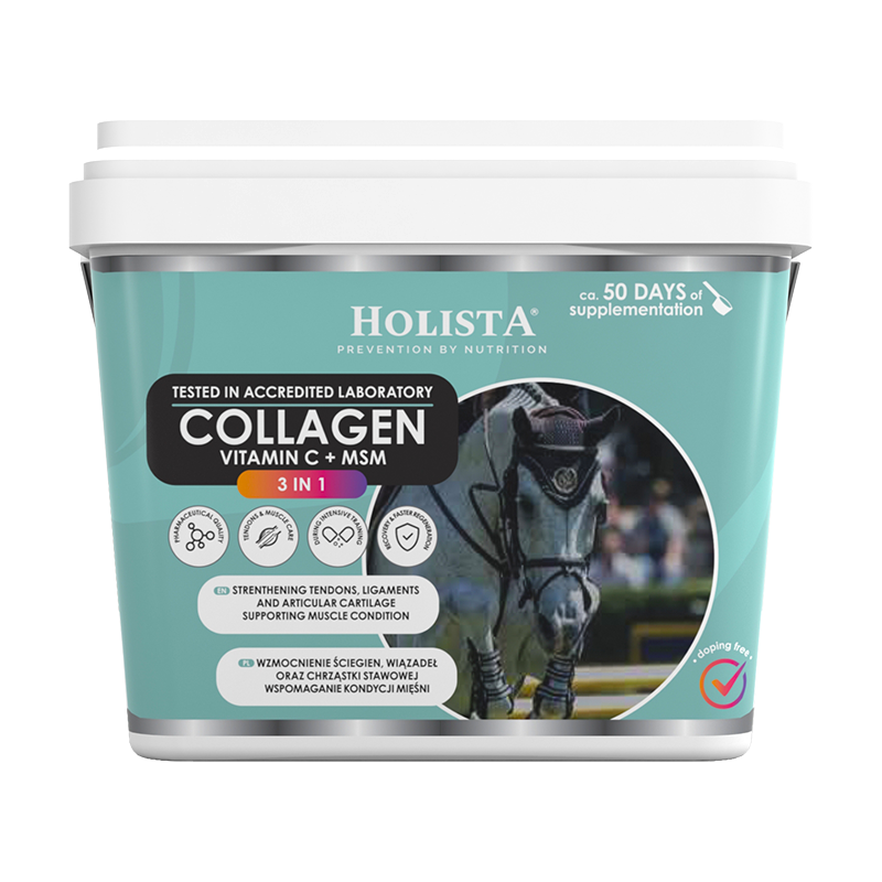HOLISTA EQUINE COLLAGEN 1000G