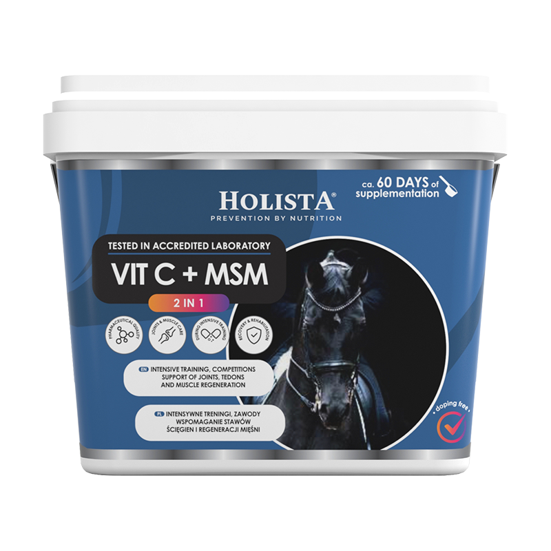 HOLISTA EQUINE VITAMIN C + MSM 1000G