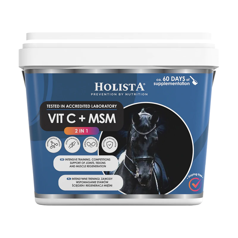 HOLISTA EQUINE VITAMIN C + MSM 1000G