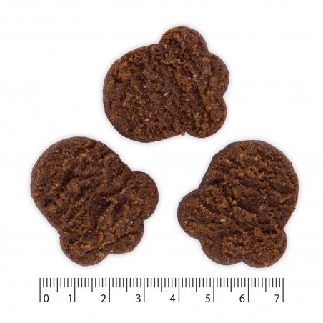 PAUSESNACK BAKED PRZYSMAK DLA PSA MIĘSNE CIASTKA 400G-8487