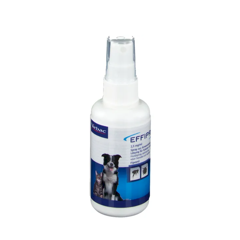 EFFIPRO 100 ML AEROZOL NA SKÓRĘ zwalcza pchły, kleszcze, wszoły