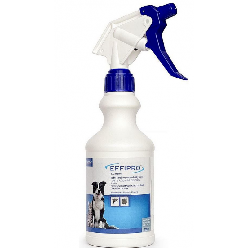 EFFIPRO 250 ML AEROZOL NA SKÓRĘ zwalcza pchły, kleszcze, wszoły