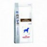 Royal Canin Gastrointestinal Dog 2 kg-1577