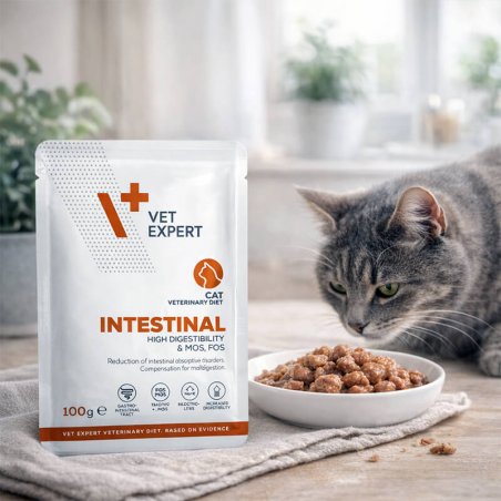 4T VETERINARY DIET CAT INTESTINAL 100 G SASZETKA-4770