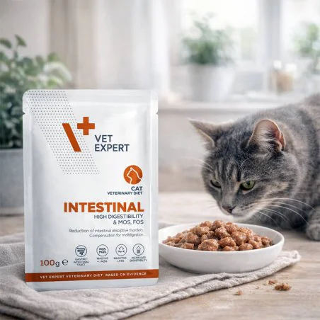 4T VETERINARY DIET CAT INTESTINAL 100 G SASZETKA-4770