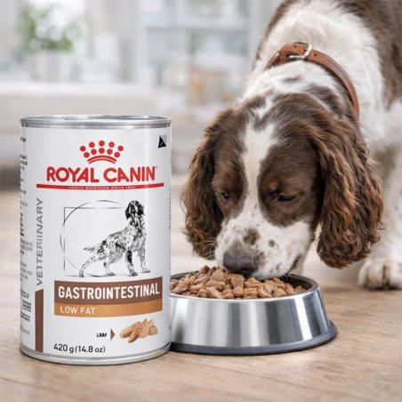 Royal Canin VD Dog Gastro Inte Low Fat LF 420 g-2323