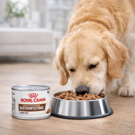 Royal Canin VD Dog Gastro Inte Low Fat LF 200 g-3900