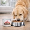Royal Canin VD Dog Gastro Inte Low Fat LF 200 g-3900
