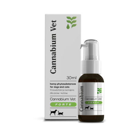 CANNABIUM VET FORTE CBD 10% 30 ML dla psów i kotów