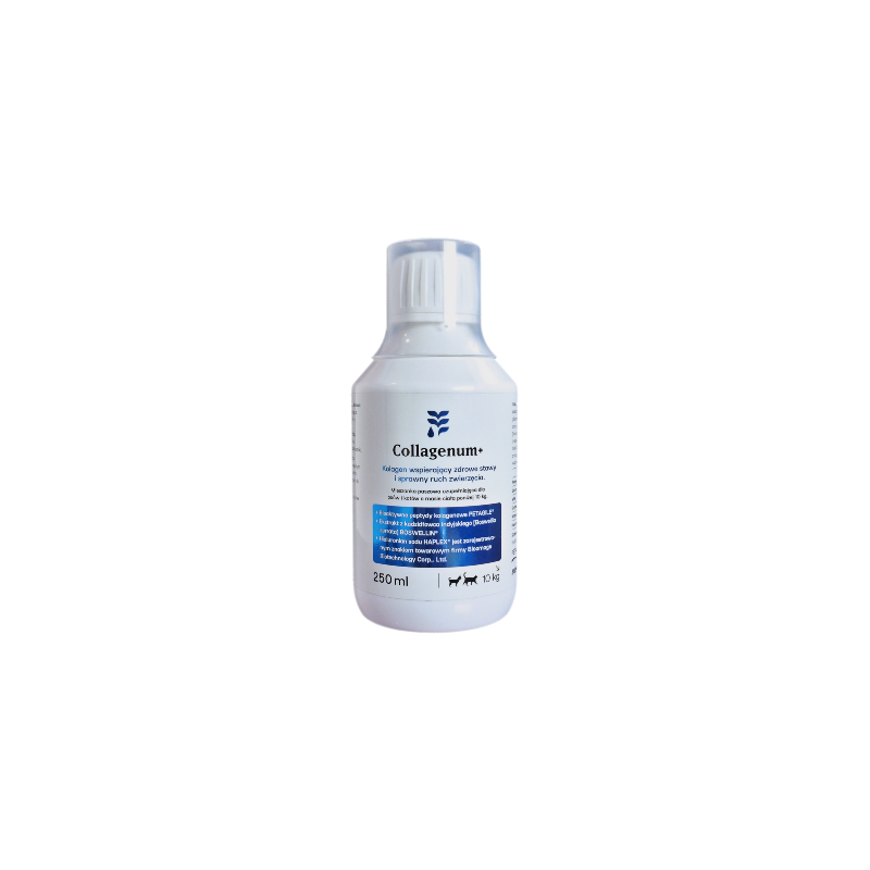 Collagenum + 250 ml dla psów i kotów kolagen + chondroityna