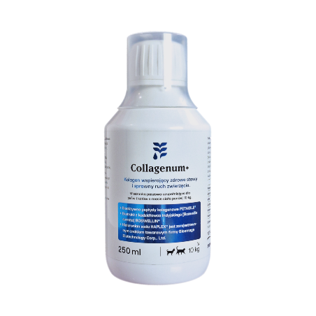 Collagenum + 250 ml dla psów i kotów kolagen + chondroityna