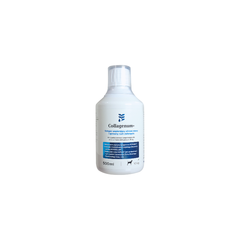 Collagenum + 500 ml dla psów i kotów kolagen + chondroityna