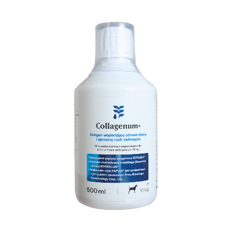Collagenum + 500 ml dla psów i kotów kolagen + chondroityna