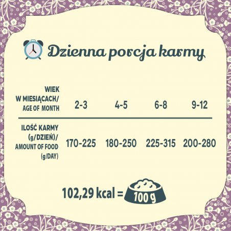 Karma mokra dla kota FOLK Kitten Delikatne danie dla malucha z jagnięciny szalka 85g-8981