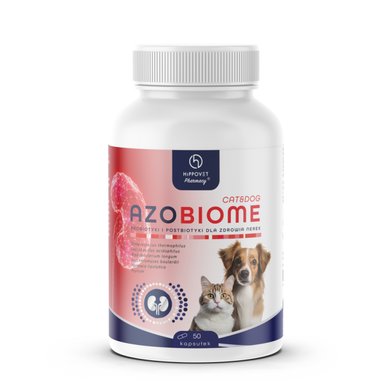 Hippovet Pharmacy AZOBIOME probiotyk dla psów i kotów – wsparcie w terapii chorób nerek