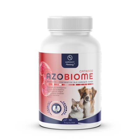 Hippovet Pharmacy AZOBIOME probiotyk dla psów i kotów – wsparcie w terapii chorób nerek