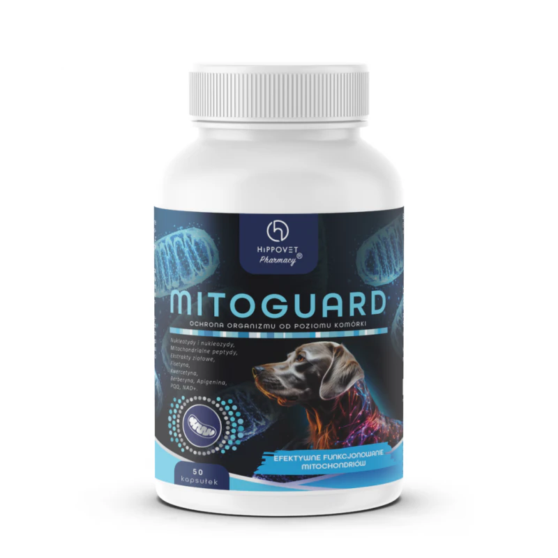 Hippovet Pharmacy – MitoGuard – opóźnienie procesów starzenia psów i kotów
