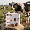 JFarm Bolus Beta-Karoten 97 g/ 8szt Wspiera przygotowanie krów do rui i reprodukcji-6914