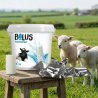 Jfarm Bolus Elektrolitowy dla cieląt musujący 10 x 50 g-6902