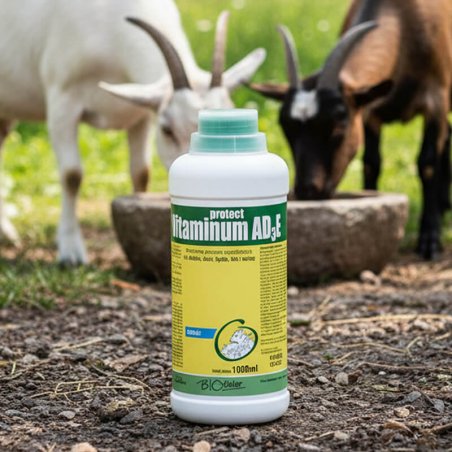 Vitaminum AD3E Protect 1 l-2130
