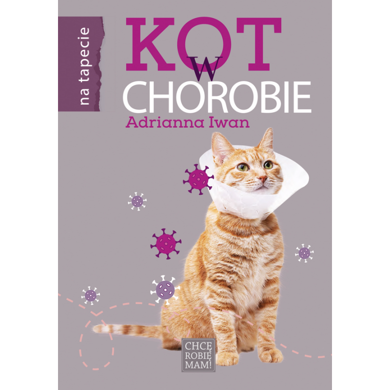 Przewodnik |Kot w chorobie | Adrianna Iwan