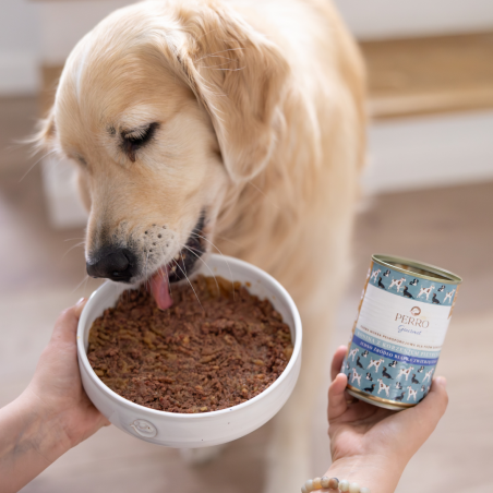 PERRO Konina z korzeniem pietruszki 800g-9294