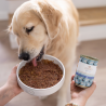 PERRO Konina z korzeniem pietruszki 800g-9294