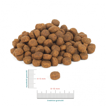 PERRO Junior Wołowina z batatami 9 kg– dla szczeniąt wszystkich ras-9305