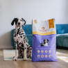 PERRO Junior Wołowina z batatami 9 kg– dla szczeniąt wszystkich ras-9305
