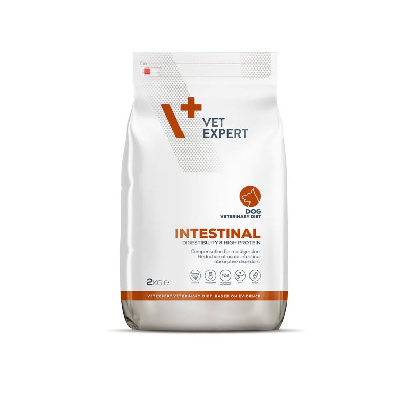 4T Veterinary Diet Intestinal Dog 2kg VetExpert