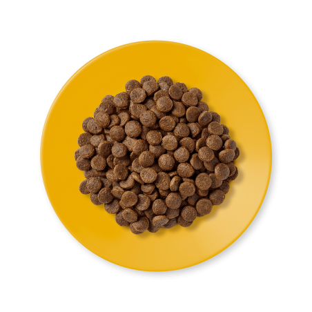 Applaws Cat 2kg Bezzbożowa Sucha Karma Dla Kota z Kurczakiem-9455
