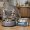 PERRO CATERING SARDYNKA DLA KOTÓW 185G-9561
